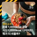 제기동 헬스장 운동으로 1,000kcal 빼기 vs 식단으로 1,000 칼로리 다이어트! 뭐가 더 쉬울까?