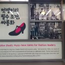 에펠제화 이미지