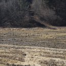 남산 태양광발전소 이미지