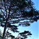 국립낙안민속자연휴양림 이미지