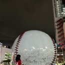 원정(5-2) | 생일기념 창원엔씨파크 원정 직관후기 ⚾️🩷(승요🧚) #2