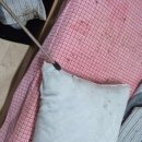 윈리빙텔 | 고시원빈대퇴치, 고시원빈대박멸, 빈대박멸후기!!!(고객센터:1522-7665)