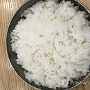 밥 이미지