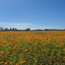제2회 가을축제 이미지