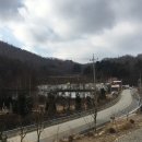 강원도 인제 자작나무숲 베툴라펜션, 자작나무숲이 보이는 깔끔한 펜션 (feat.인제하나로마트)