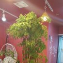 김군토이 이미지