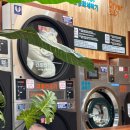 가을운동화빨래방 이미지