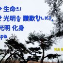 선학산 체육장 1(선학산 전망대)