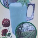 산아래토종닭 이미지