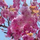 지티행정사사무소 이미지