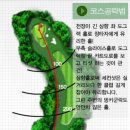 소피아그린 이미지