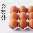 세일농장1 이미지