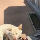 곡동경로당 이미지