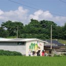 안하마을 네이버블로그