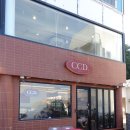 카페CCD송정점 이미지