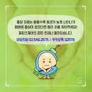 G2575 이미지