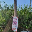 미원초등학교위곡분교장 이미지