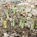 박종길농장 이미지