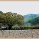 농암초등학교 이미지