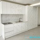 부평 페트 이미지