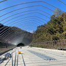 삼척양계장 이미지