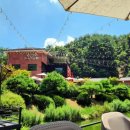 카페인하원 이미지