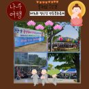 나주 여행 부처님오신날 제16회 영산강 연등문화축제 다녀온 후기