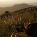 황매산 억새축제 | 합천 황매산 억새축제 완전 정복 후기 주차정보 및 꿀팁