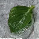 이가박가 이미지