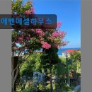 에벤에셀하우스 | 강원도 묵호 동해 숙소 펜션 에벤에셀하우스 바다와 가까운 펜션