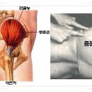 모던 퍼스널 트레이닝 이미지