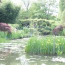 지베르니 이미지