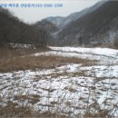 사북면사무소 이미지