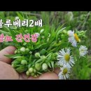 해드