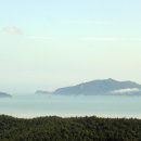 청산도·대모도 Daum카페