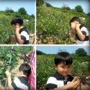 밝은세상마을 Daum카페