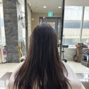 라움헤어트리 이미지