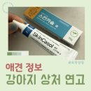 솔향약국 | 강아지 상처엔 후시딘 대신 이 연고를 써보세요
