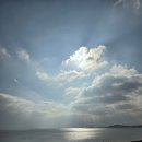 서산버드랜드 이미지