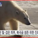2024-02-0082 - 옥천군 | 2024-02-0082