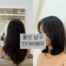 인헤어 | 울산 달동 레이어드 맛집 인더비헤어 후기