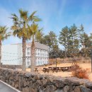 담모라호텔 이미지