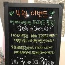 노블레스 스킨 이미지