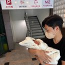 [원주] 미즈 산후조리원 6박 7일 후기