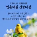 입춘방(立春榜) 이미지