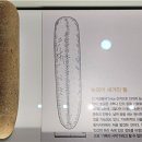 구석기 후기 석기에 새겨진 천부인