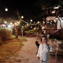 펜션 허브빌 | [포천]허브빌펜션, 애견동반 펜션 가을밤 바베큐와 불멍, 군밤과 군고구마