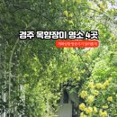 강동로4-4 네이버블로그