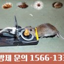 최가네종가집 이미지