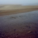 황골해변 이미지